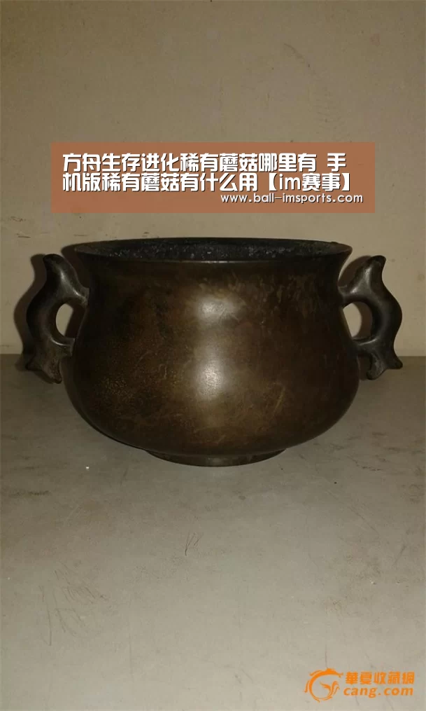 方舟生存进化稀有蘑菇哪里有 手机版稀有蘑菇有什么用【im赛事】(图2) im体育平台