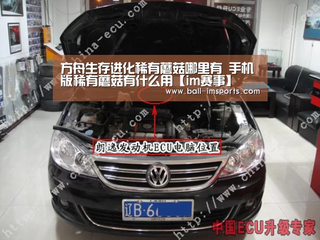 方舟生存进化稀有蘑菇哪里有 手机版稀有蘑菇有什么用【im赛事】(图3) im体育下载