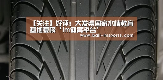 im体育平台