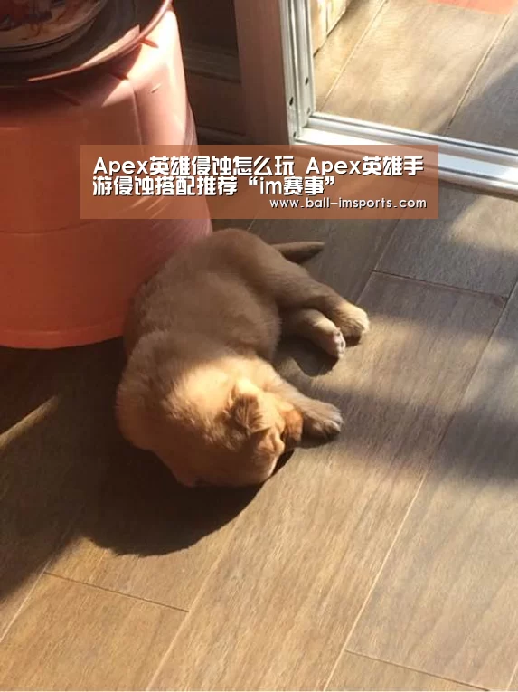 Apex英雄侵蚀怎么玩 Apex英雄手游侵蚀搭配推荐“im赛事”(图1) im体育平台