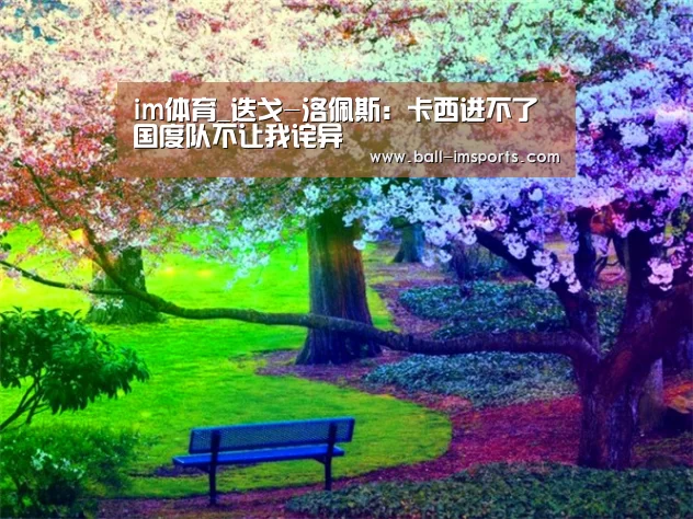 im体育平台