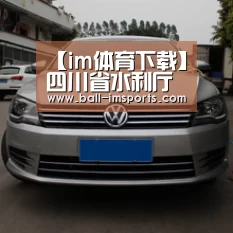 im赛事