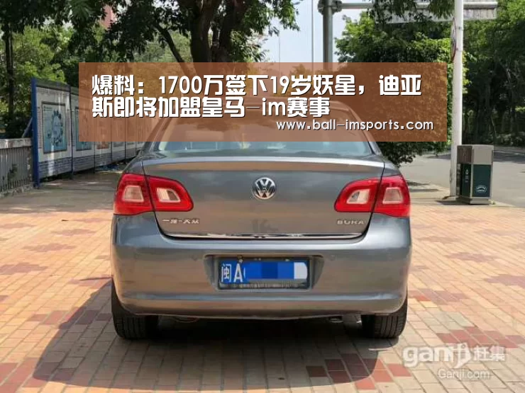 im体育下载